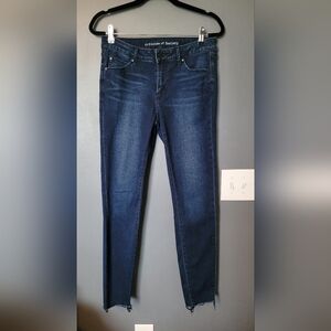 Articles of Society Dark Wash Jeggings